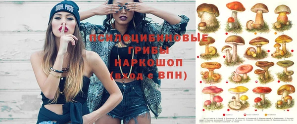 марихуана Баксан
