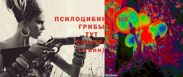 дмт Балахна