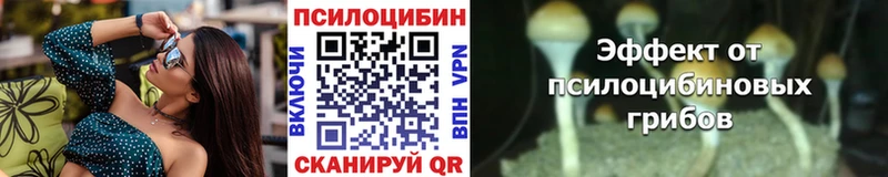 Псилоцибиновые грибы Magic Shrooms  Купить закладки  Красный Кут 